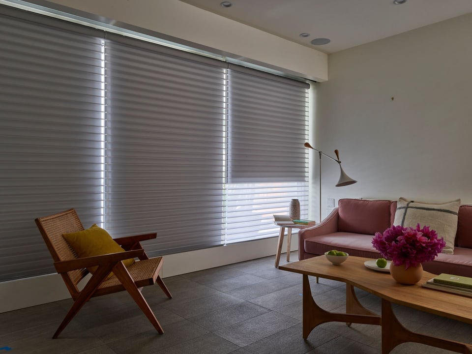 Silhouette Duolite sheer shades with room-darkening roller