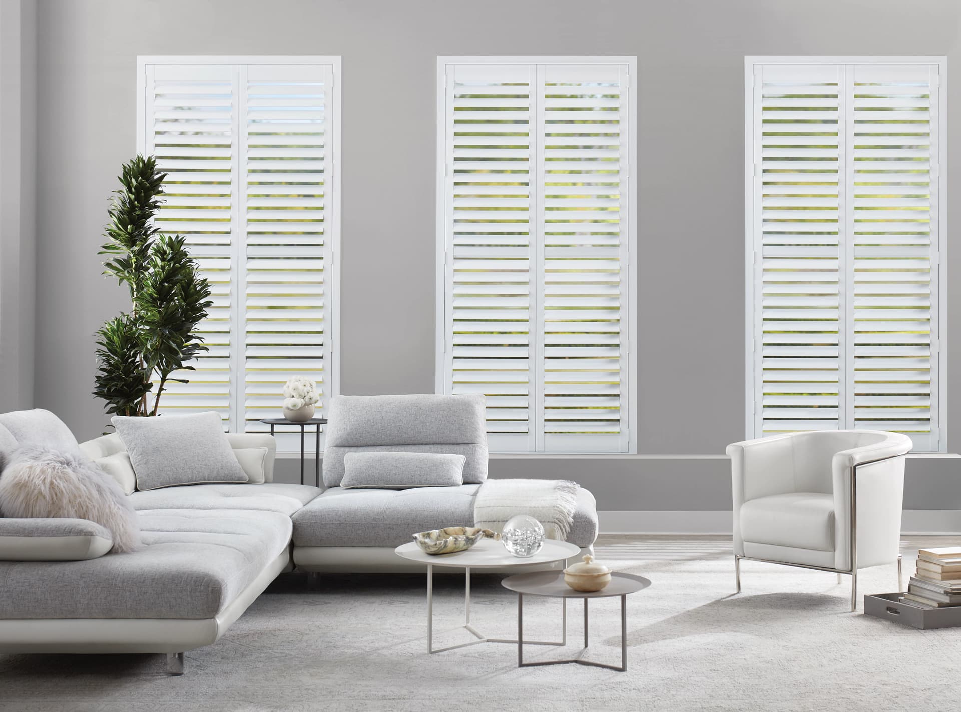 Palm Beach™ Polysatin Shutters — Living Room