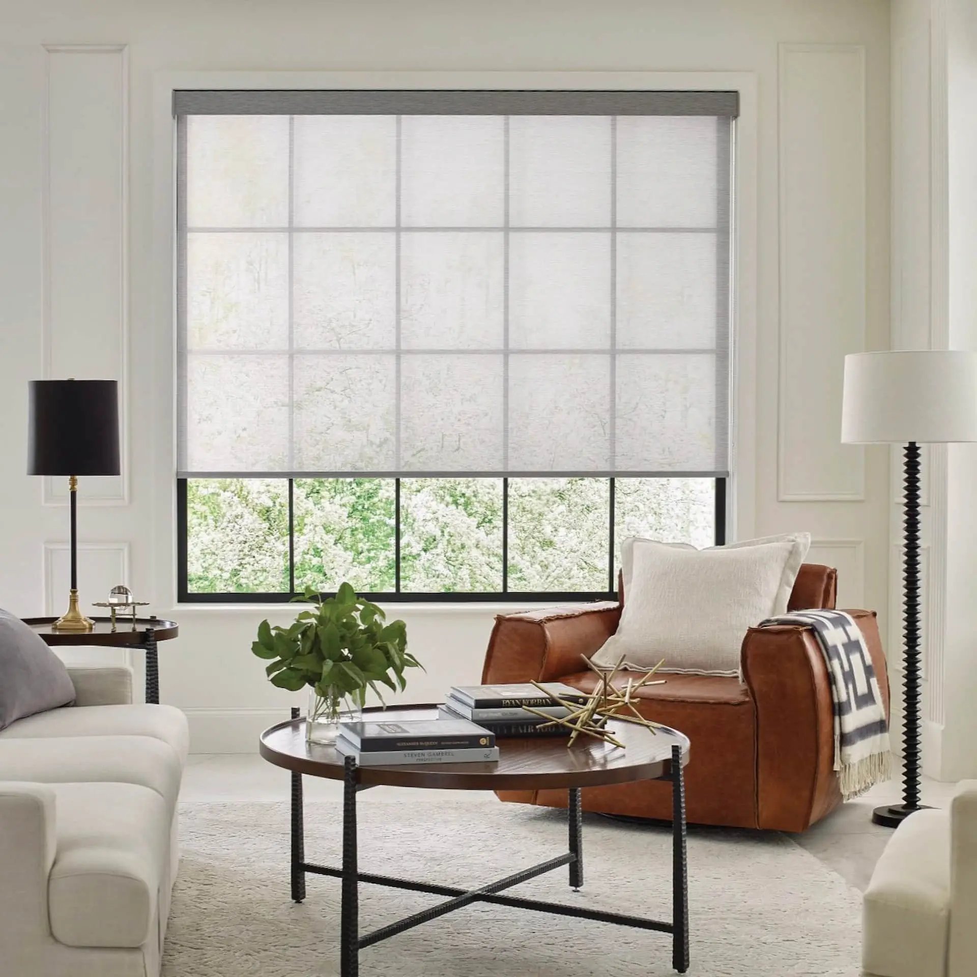 Hunter Douglas blinds and shades in elegant living room — authorized dealer showroom