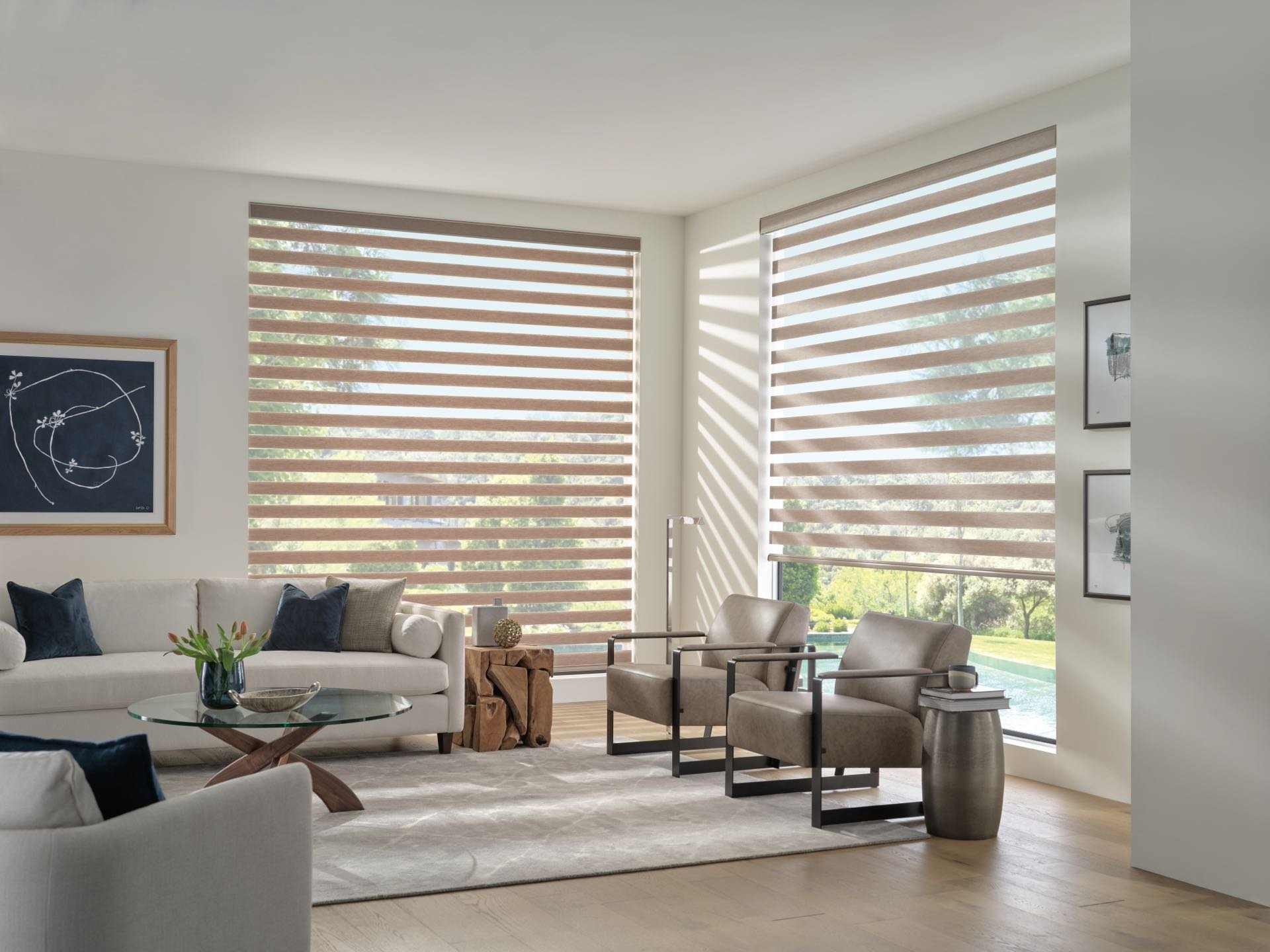 Designer Banded Shades — Living Room