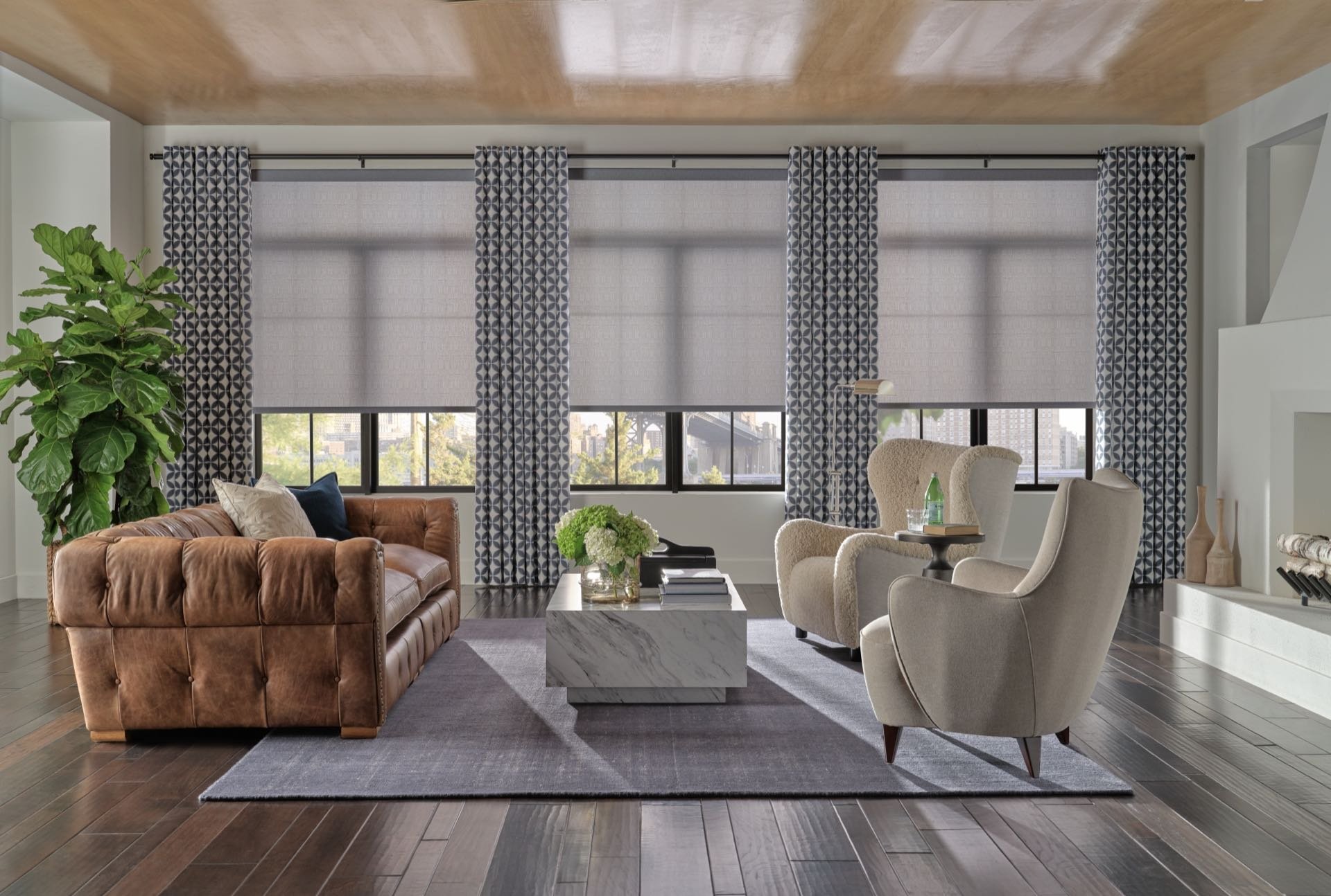 Designer Roller Shades — Living Room