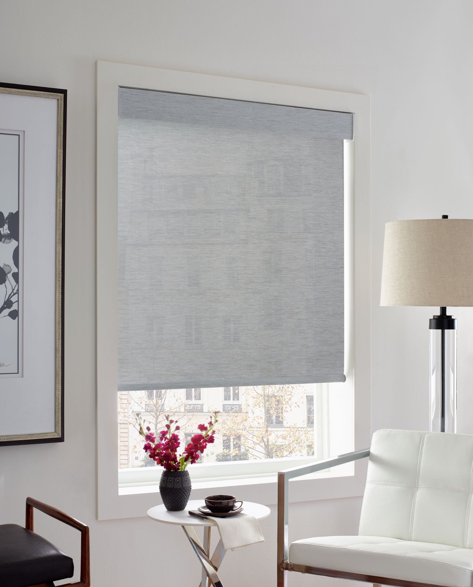 Designer Screen Solar Shades — Living Room