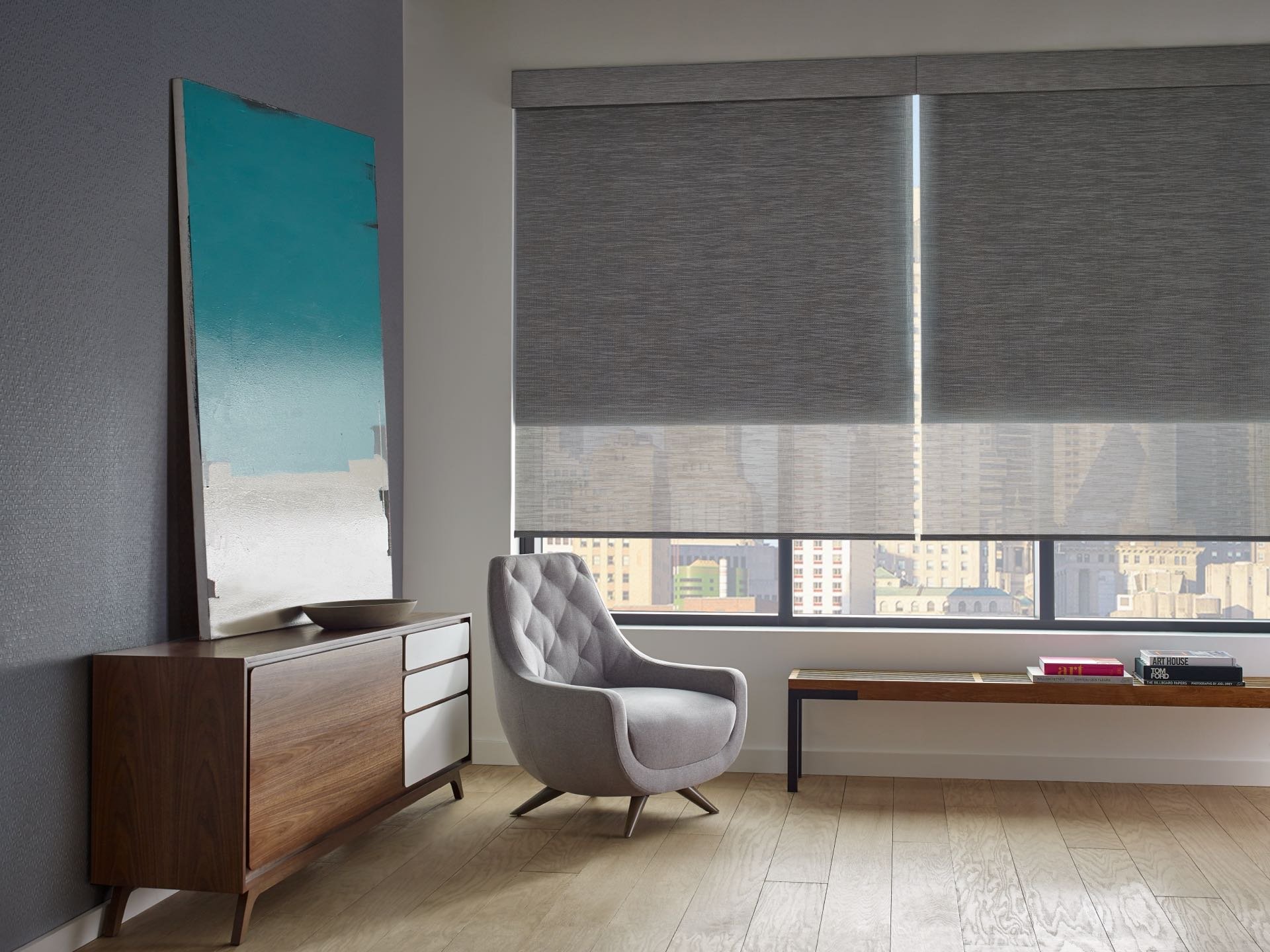 Designer Screen Solar Shades — Living Room
