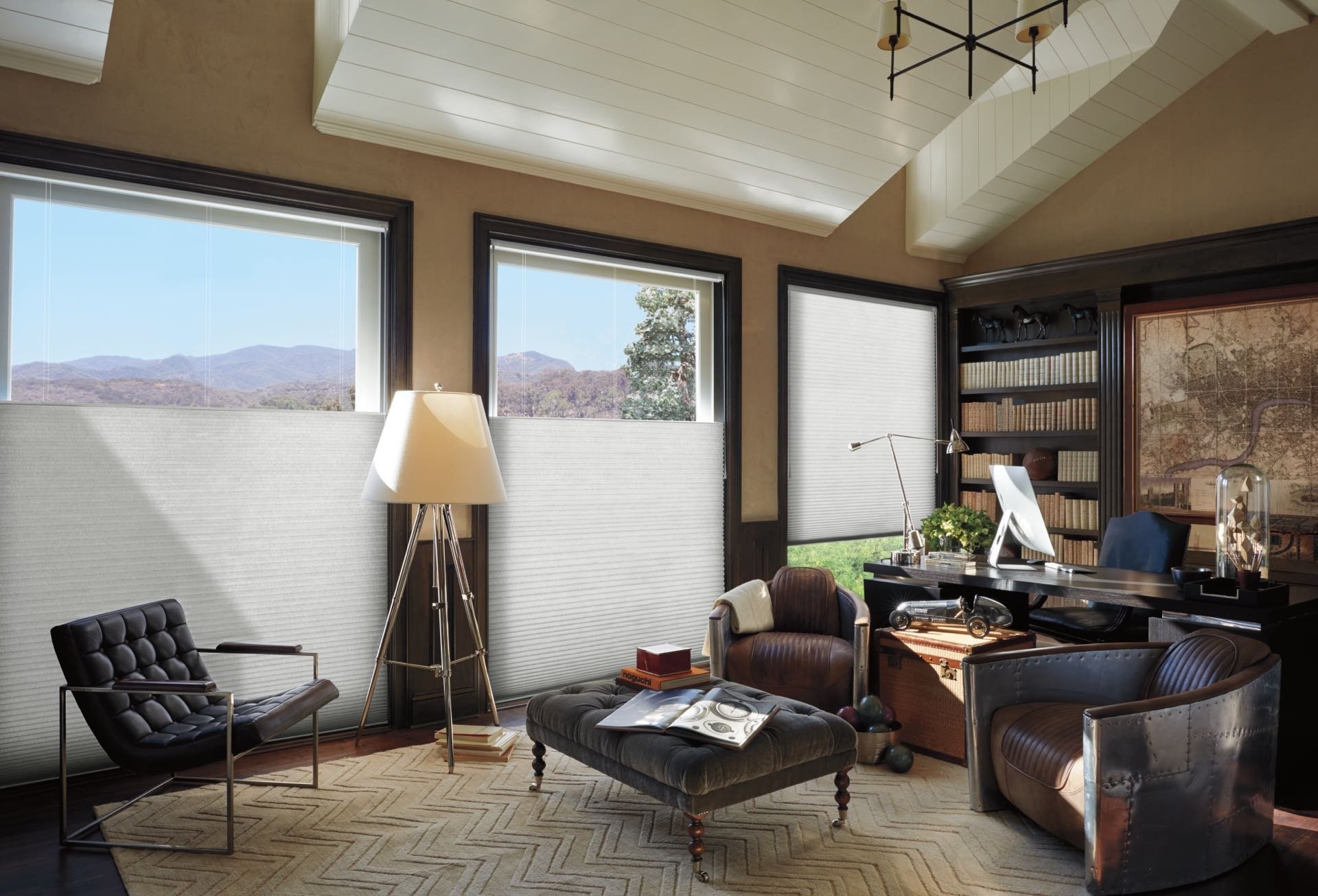 Duette® Honeycomb Shades — Living Room