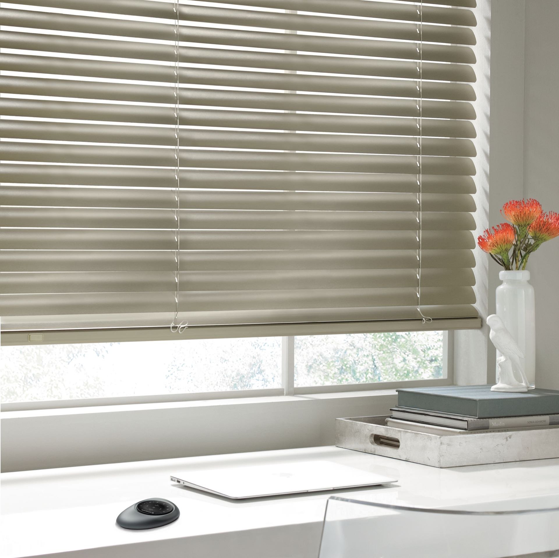 Modern Precious Metals® Blinds — Living Room