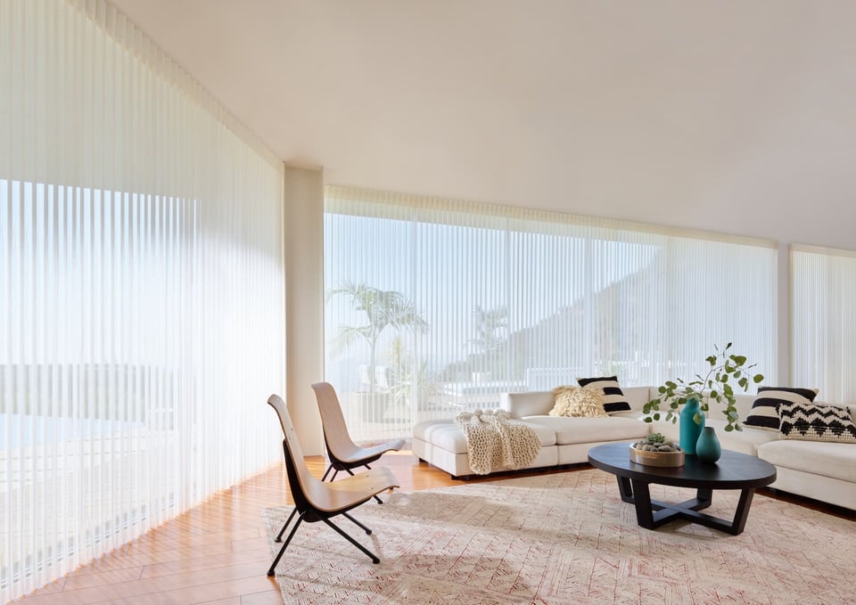 Hunter Douglas Designer Roller Shades in living room